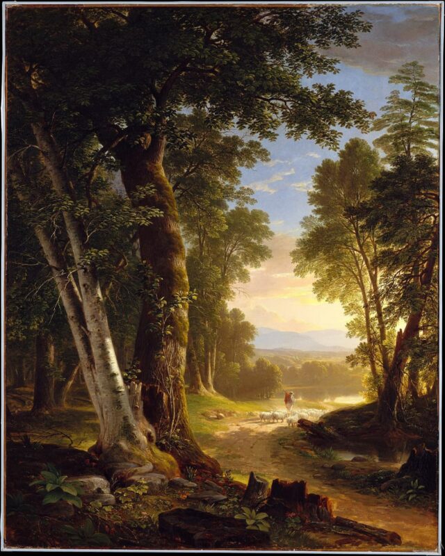Asher Brown Durand - The Beeches - 1845