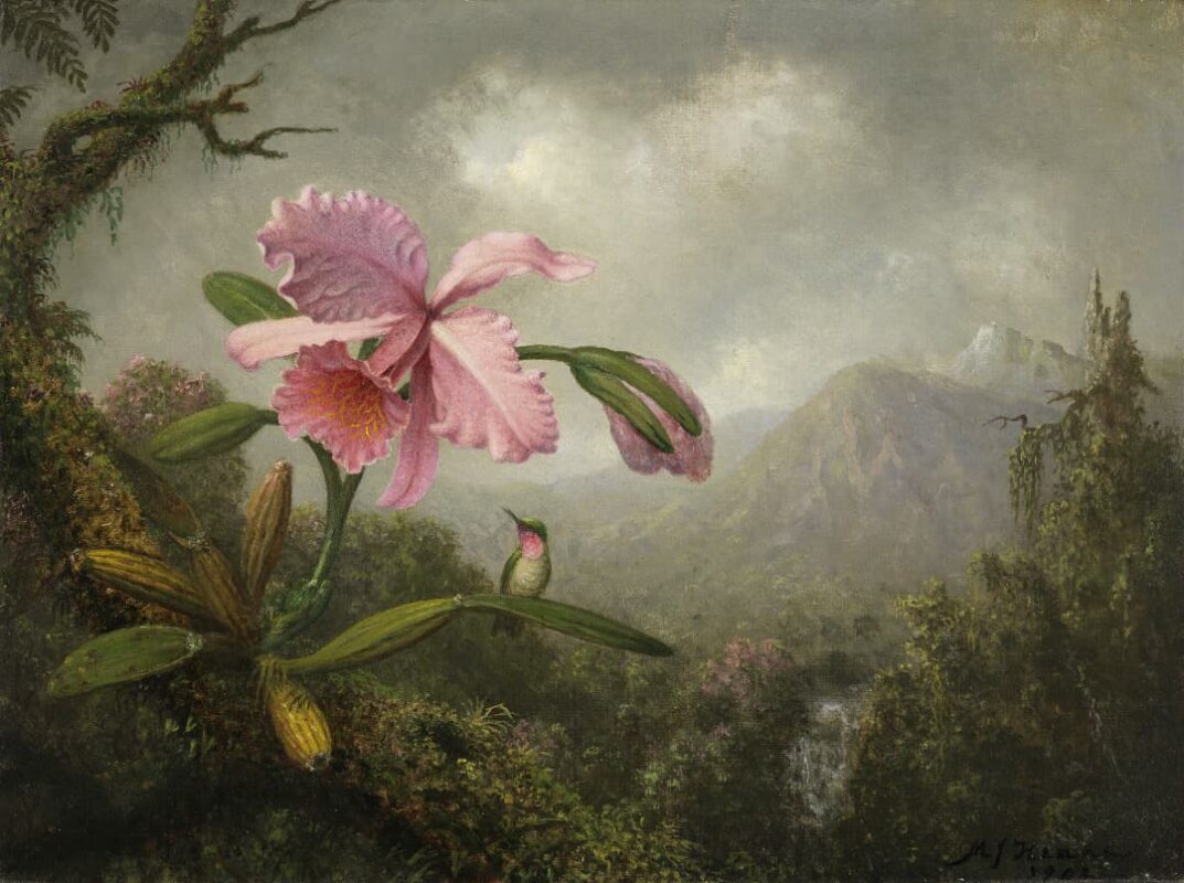 Martin Johnson Heade - Orchid and Hummingbird near a Waterfall