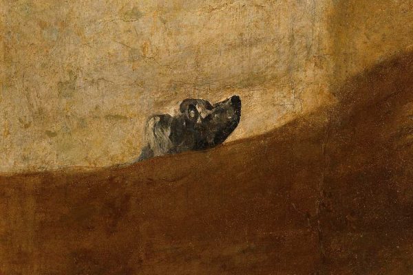 Francisco de Goya - The Dog - detail