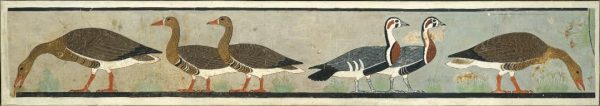 Geese wall painting - 2700-2600bc - Tomb of Itet - Cairo Museum
