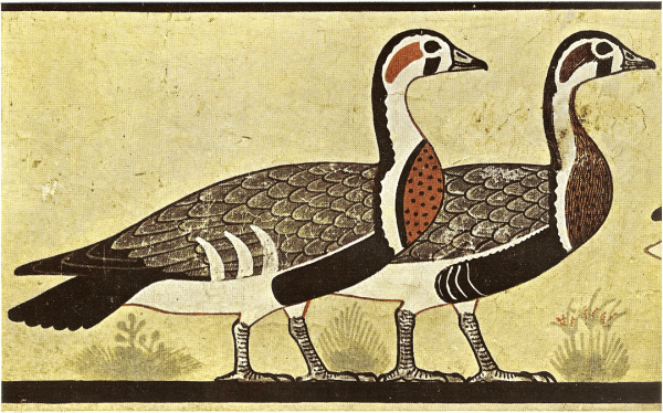 Geese wall painting - Meidoum geese detail - 2700-2600bc - Tomb of Itet - Cairo Museum