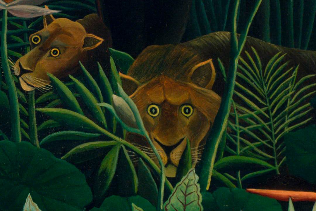 henri rousseau dreams of the jungle