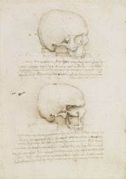 Leonardo - Two Studies of a Cranium