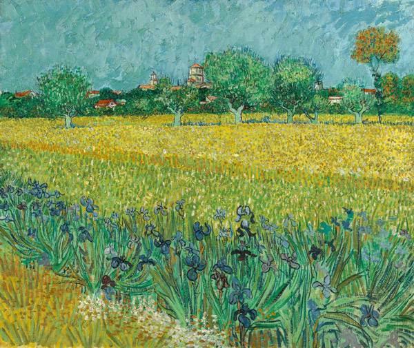 Vincent van Gogh - Campo de lirios cerca de Arles
