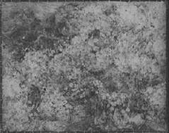 x-ray of van Gogh's "Ravine"