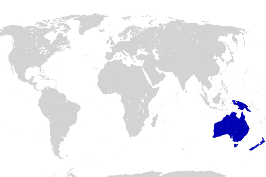 world map - australia oceania