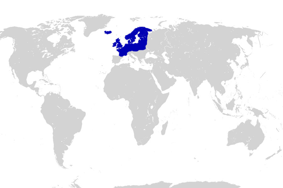 world map - europe north