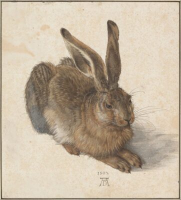 Albrecht Durer - Hare 1502