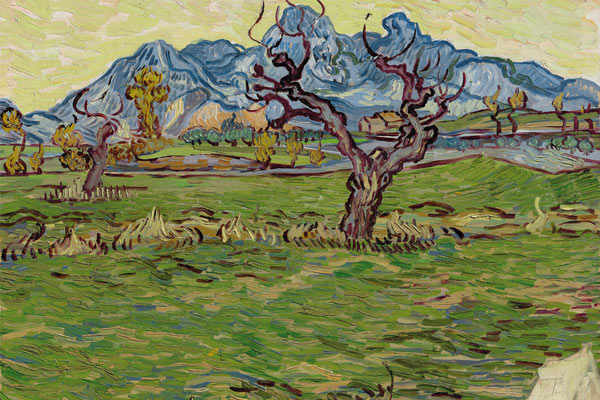 Vincent van Gogh - Champs pres des Alpilles - thumbnail