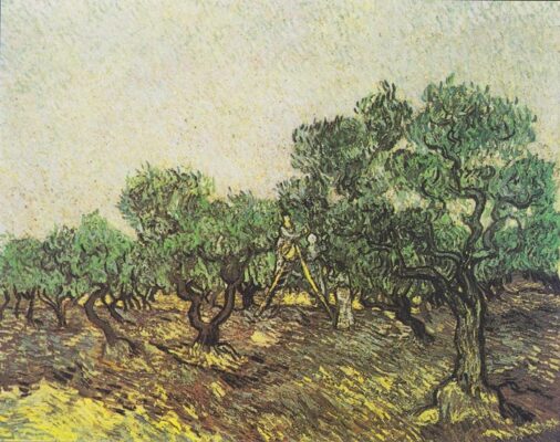 Vincent van Gogh - Olive Picking - 1889 - Goulandris Foundation