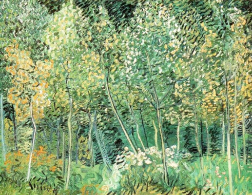 Vincent van Gogh - Sous Bois - 1890