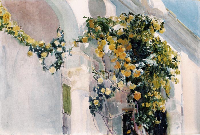 Joaquin Sorolla - Rosales en la Casa Sorolla - thumbnail-1