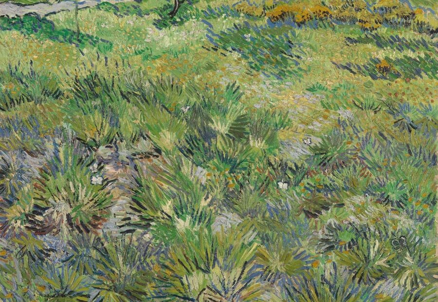 Vincent van Gogh - Long Grass with Butterflies - 1890