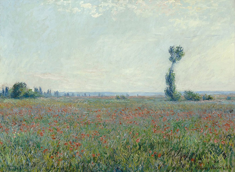 Claude Monet - Poppy Field - 1881