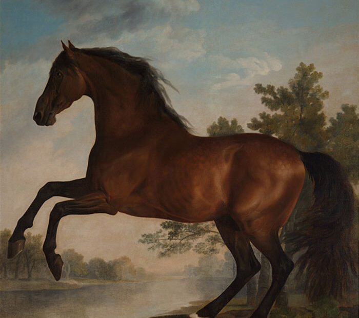 George Stubbs - Scrub - 1762