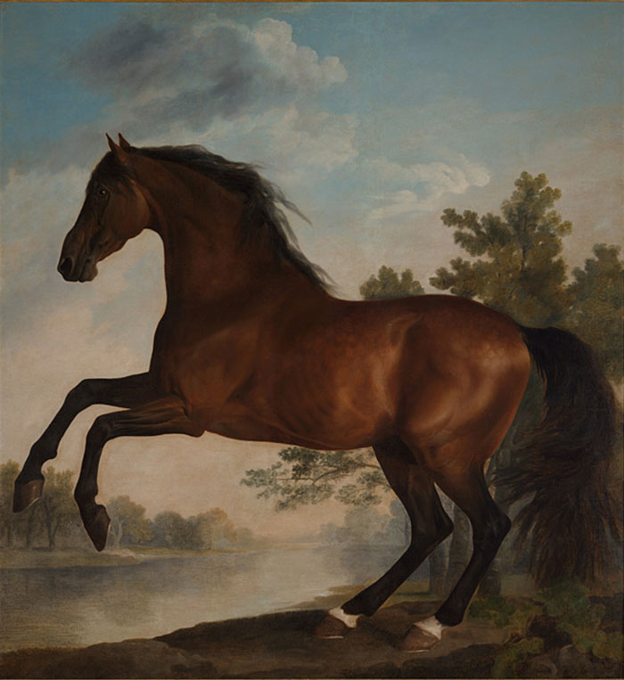 George Stubbs - Scrub - 1762